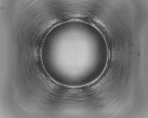 X0000088841305200706071410