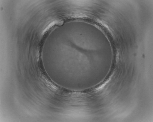 X0000088841306200706071410