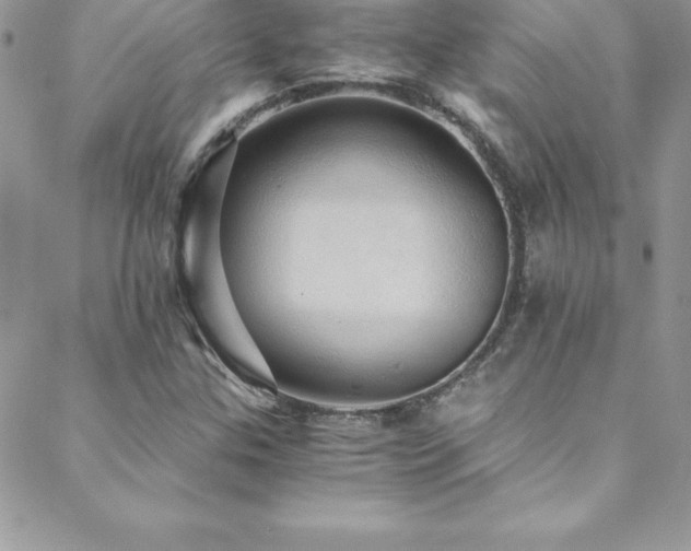 X0000088841307200706071410