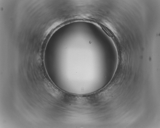 X0000088841308200706071410