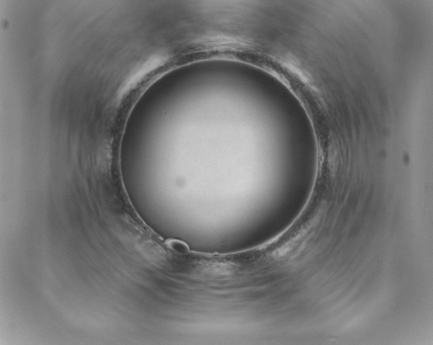 X0000088841309200706071410