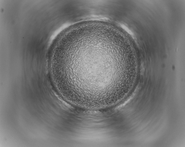 X0000088841310200706071410