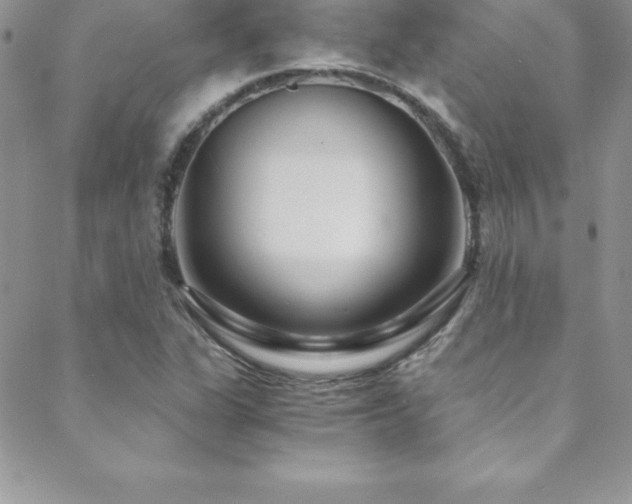 X0000088841311200706071410