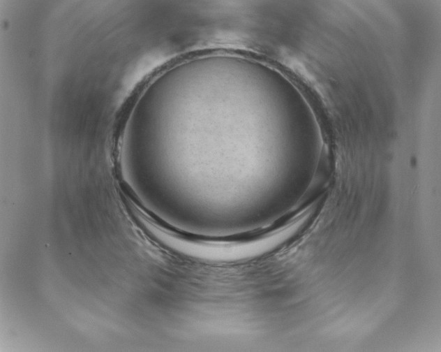 X0000088841312200706071410