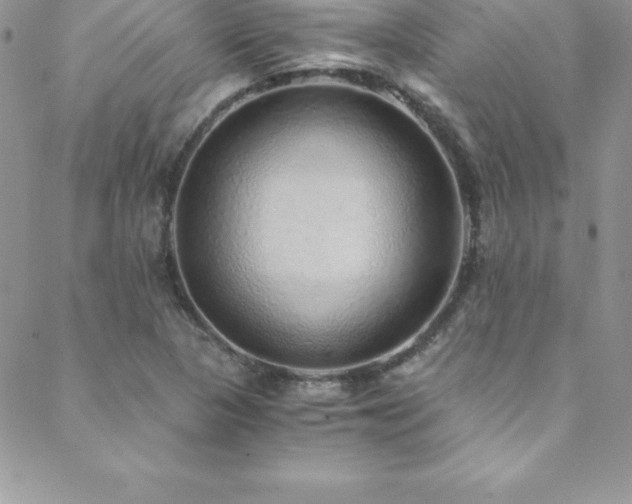 X0000088841313200706071410