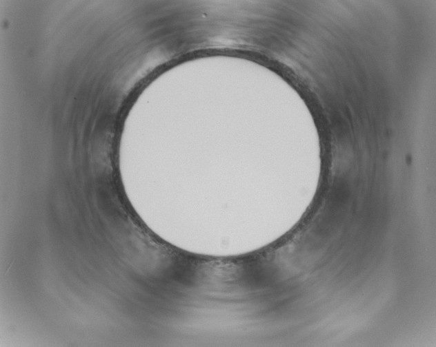 X0000088841314200706071410