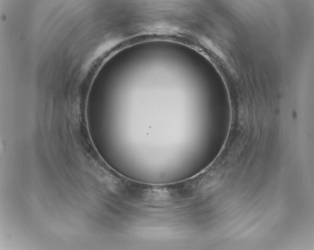 X0000088841315200706071410