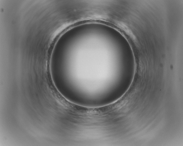 X0000088841316200706071410