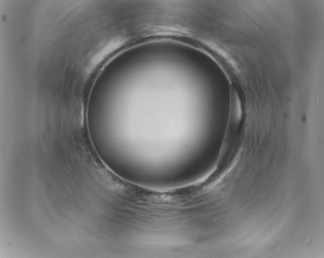 X0000088841317200706071410