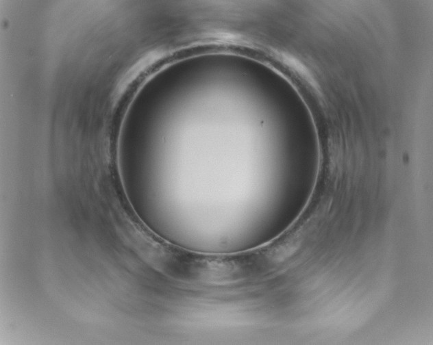 X0000088841318200706071410