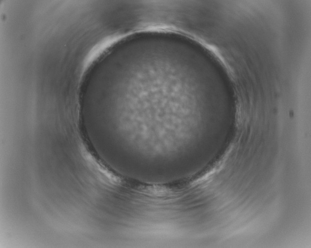 X0000088841319200706071410