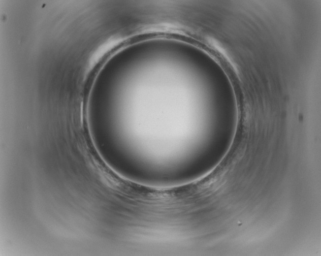 X0000088841320200706071410