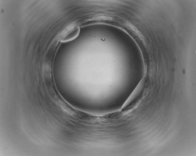 X0000088841321200706071410