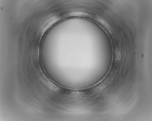 X0000088841322200706071410