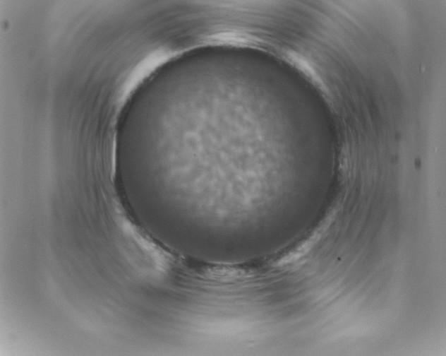 X0000088841323200706071410