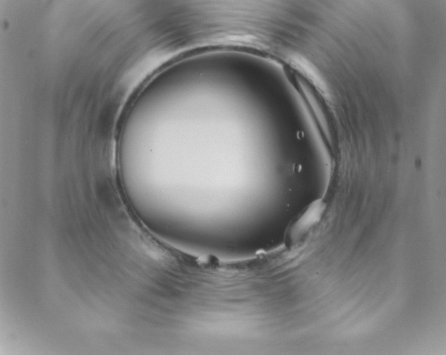 X0000088841324200706071410