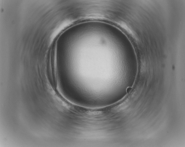 X0000088841325200706071410