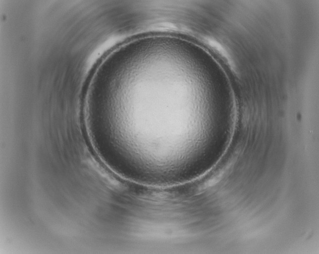 X0000088841326200706071410