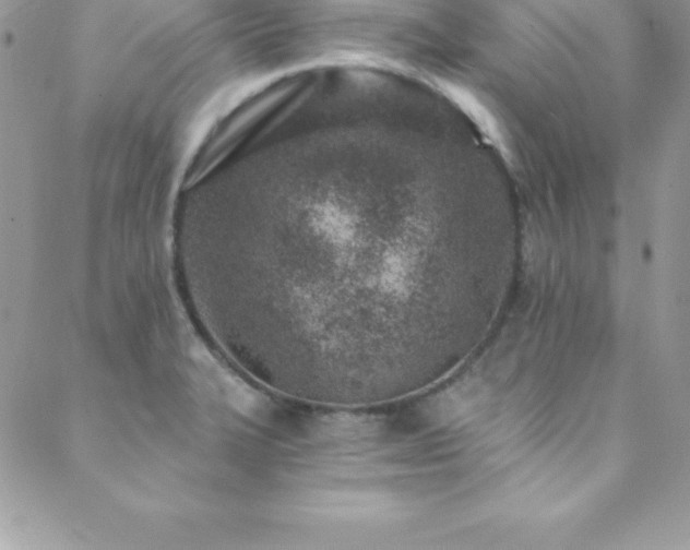 X0000088841327200706071410