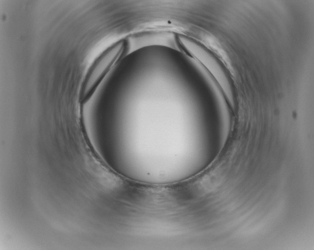 X0000088841328200706071410