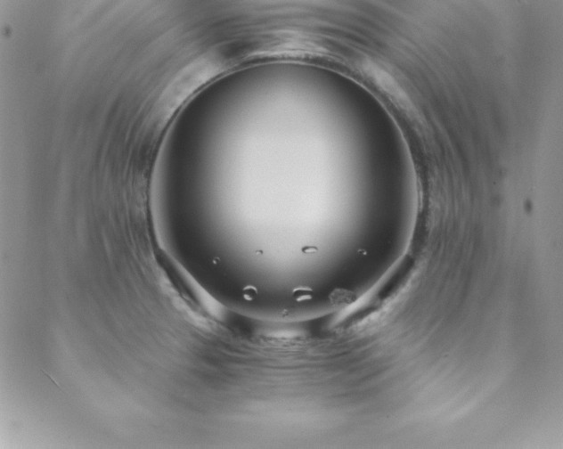 X0000088841329200706071410