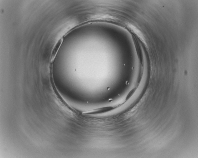 X0000088841330200706071410