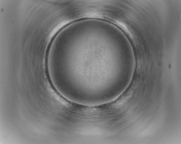 X0000088841331200706071410