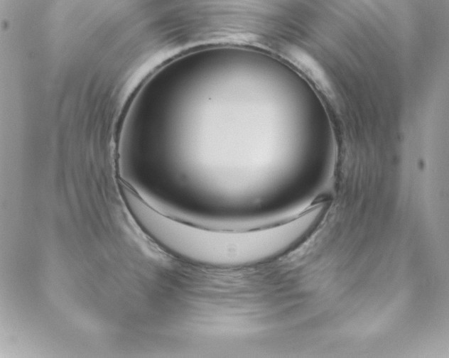 X0000088841332200706071410