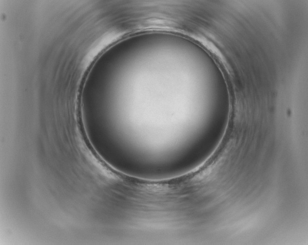 X0000088841333200706071410