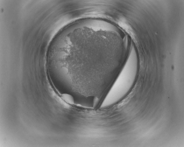 X0000088841334200706071410