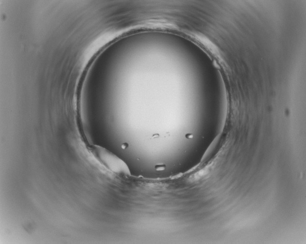 X0000088841335200706071410