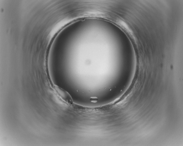 X0000088841336200706071410