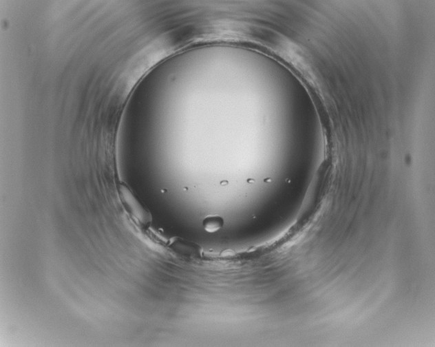 X0000088841337200706071410