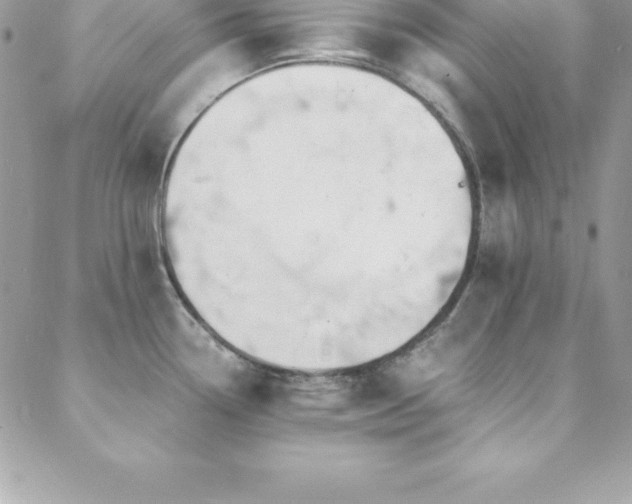 X0000088841338200706071410