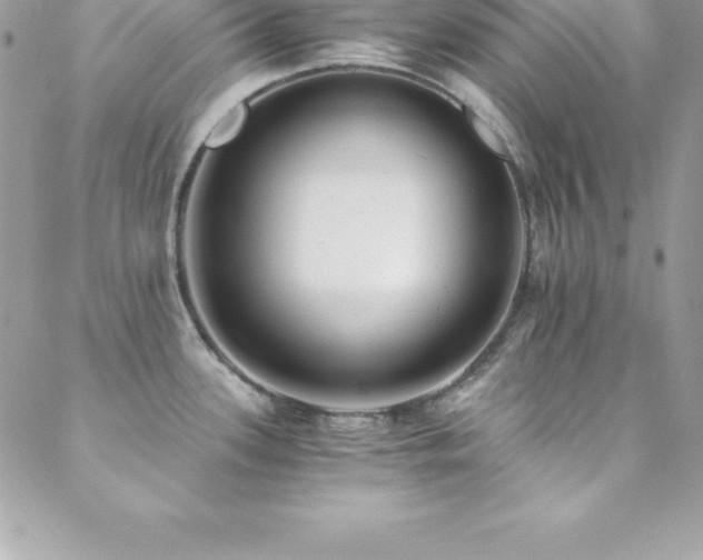 X0000088841339200706071410