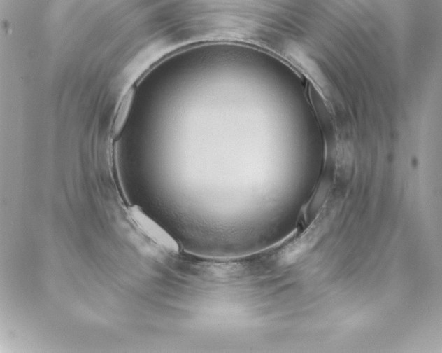 X0000088841340200706071410