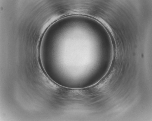 X0000088841341200706071410