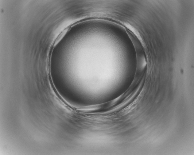 X0000088841342200706071410