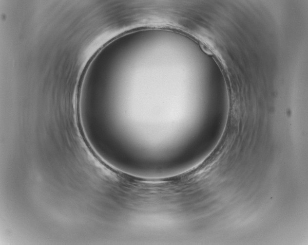 X0000088841343200706071411