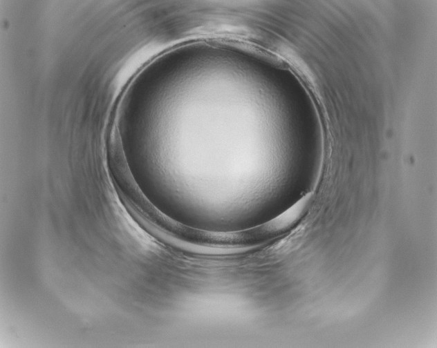 X0000088841344200706071411