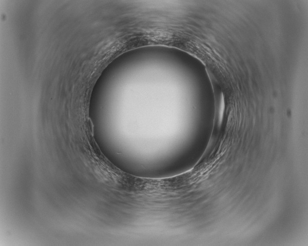 X0000088841345200706071410