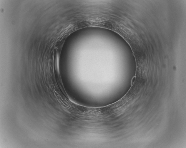 X0000088841346200706071410