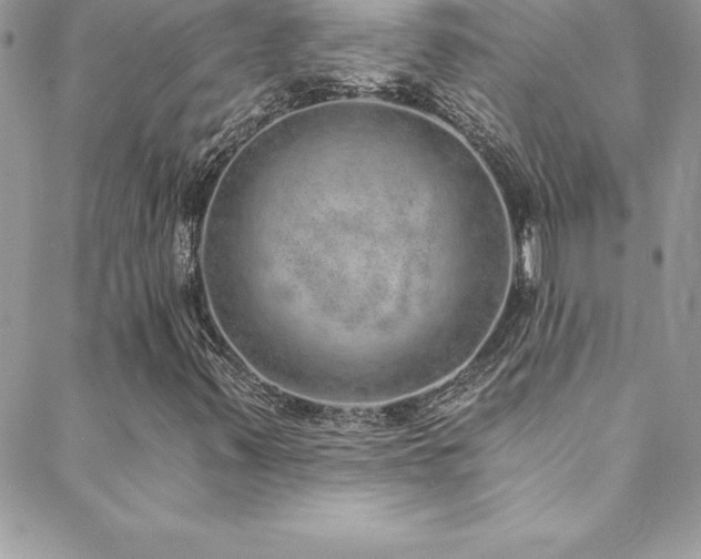 X0000088841347200706071410