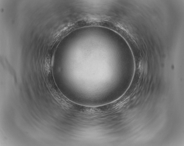 X0000088841348200706071410