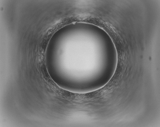 X0000088841349200706071410