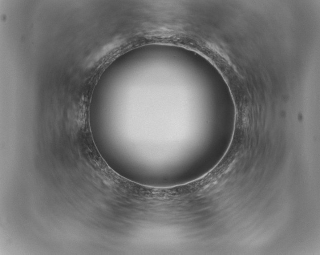 X0000088841350200706071410