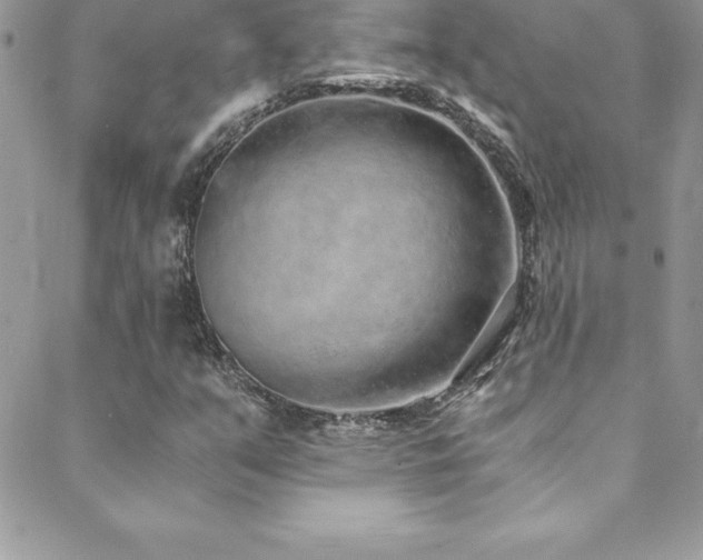 X0000088841351200706071410