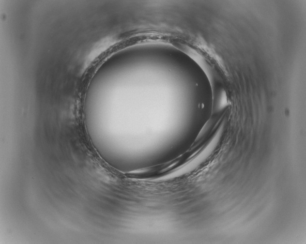 X0000088841352200706071410