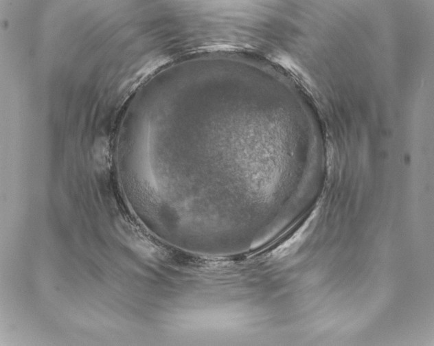 X0000088841353200706071410