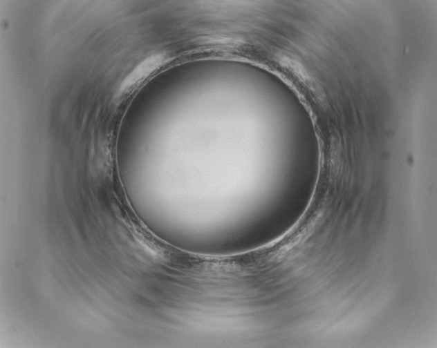 X0000088841354200706071410